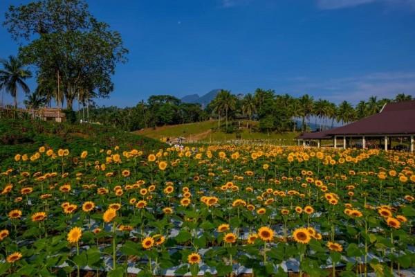 Batis Aramin Resort and Hotel