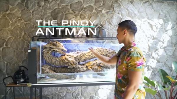 Mikey Bustos Amazing Earth