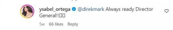ysabel ortega replies to mark reyes about her possible project