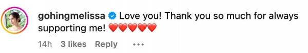 Melissa Gohing s comment on Rocco Nacino s IG post
