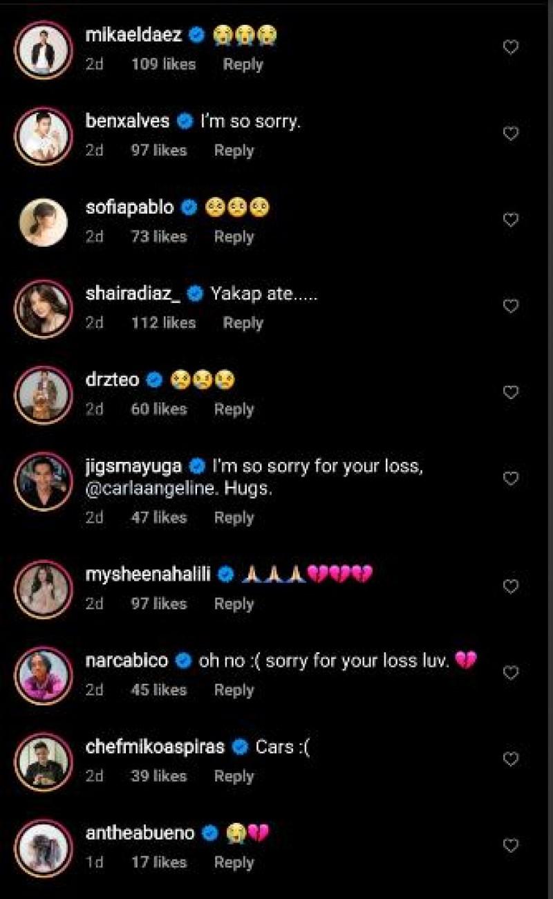 Photo taken from the comment section of Carla Abellana s Instagram account