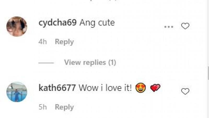 Photos taken from Manilyn Reynes s Instagram account