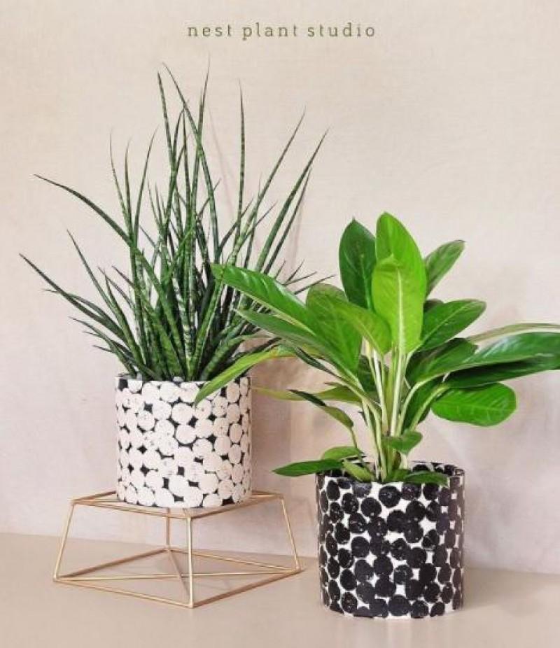 Beautiful plant pots of Nest Plant Studio