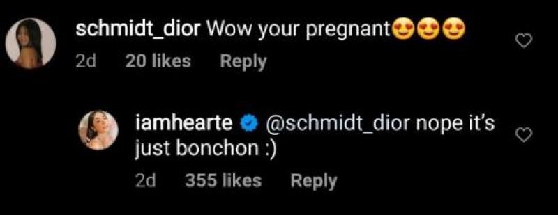 Photo taken from Heart Evangelista s Instagram account