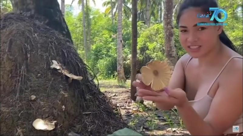 michelle harvesting mushrooms