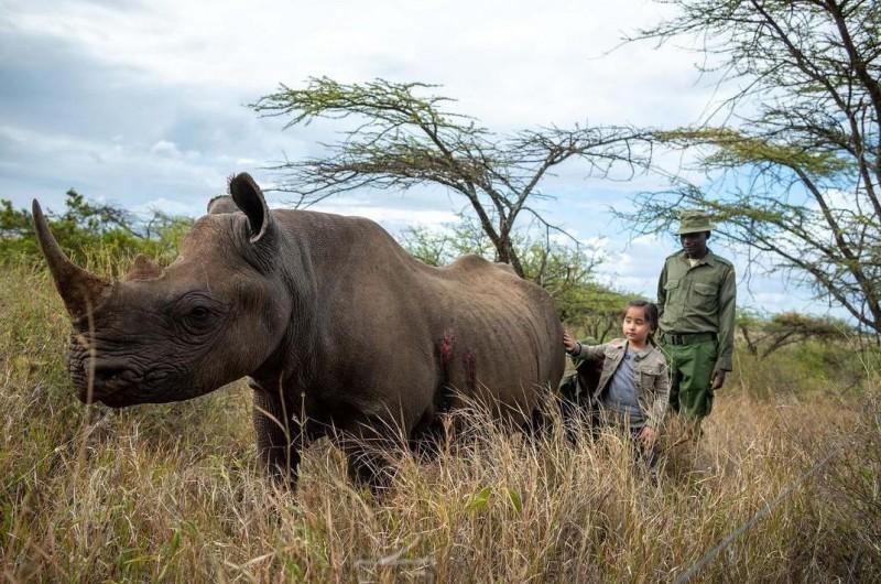 scarlet with rhinos and rangers