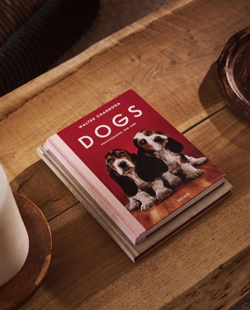 Zara Home launches firstever pet collection GMA Entertainment