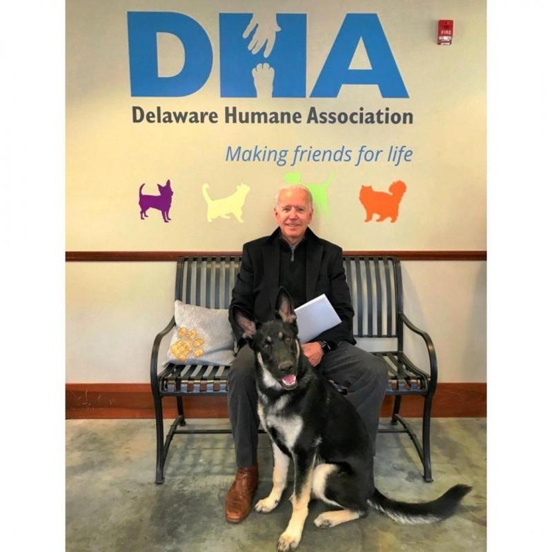 president joe biden and major