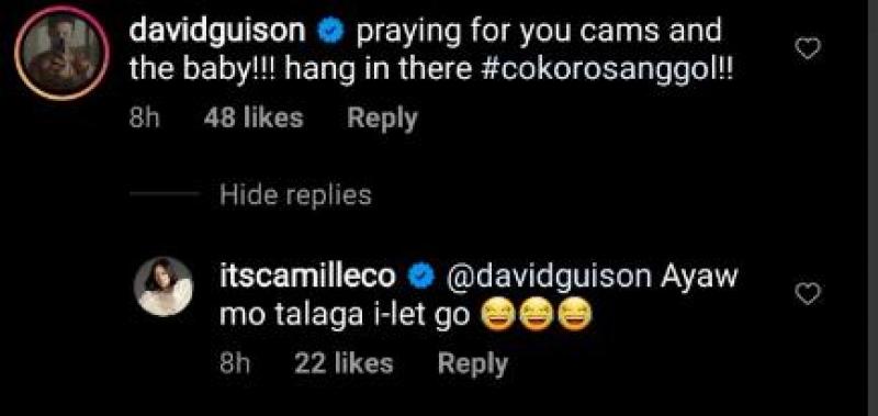 Celebrities and vloggers wishes Camille Co s safety after being rushed to the hospital 