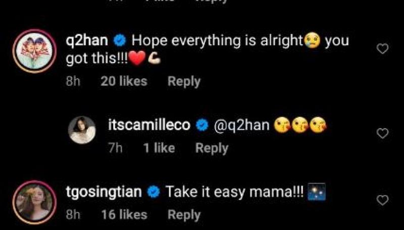 Celebrities and vloggers wishes Camille Co s safety after being rushed to the hospital 