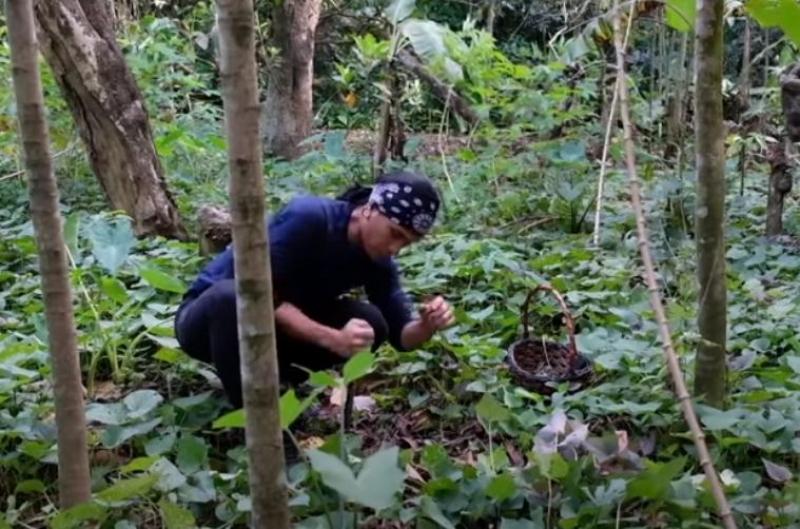 Chef JR Royol in Farm To Table