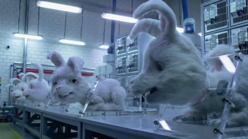 Source The Humane Society of the United States YouTube channel