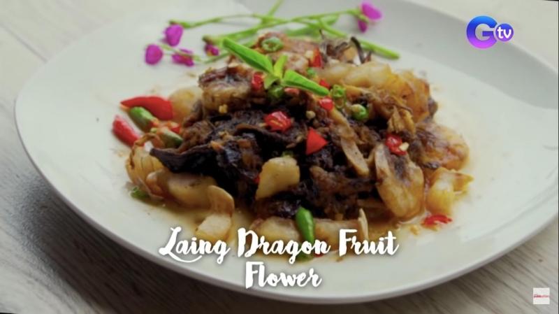 dragon fruit laing