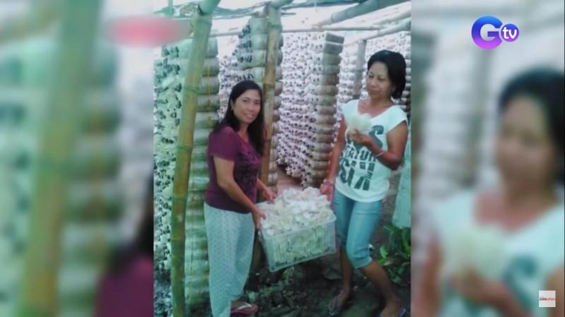 myrna with mushrooms