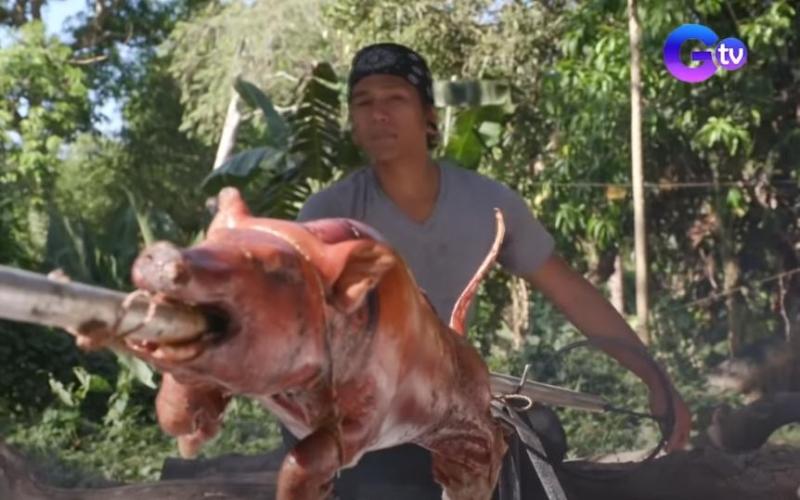 Lechon dishes in Farm To Table