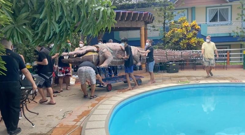 Lolong on GMA Telebabad