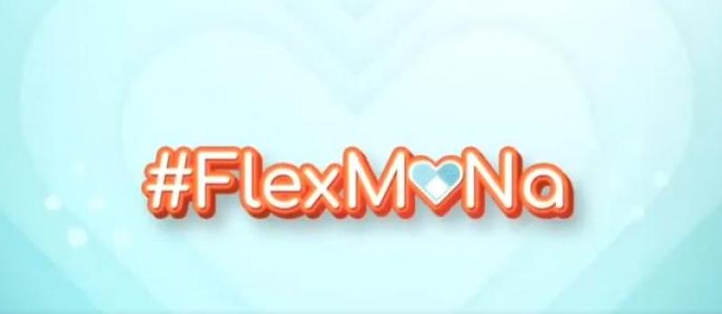 FlexMoNa