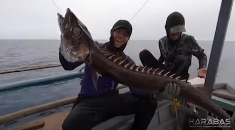 Team Harabas in Amazing Earth