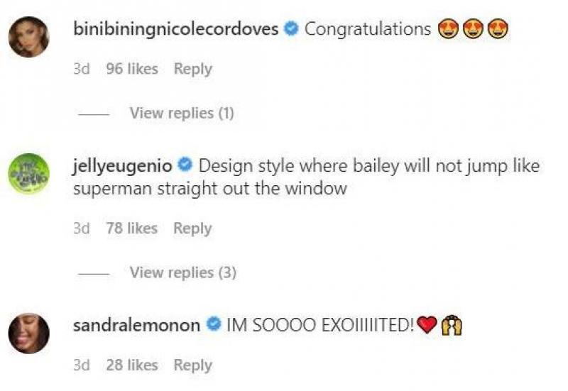 Source catriona gray IG