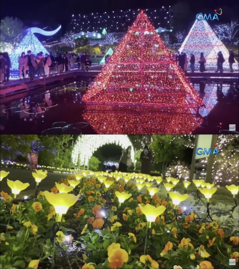 ashikaga flower park