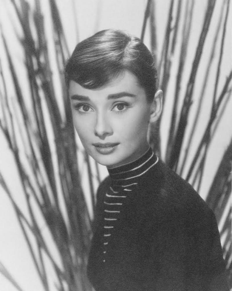 audrey hepburn
