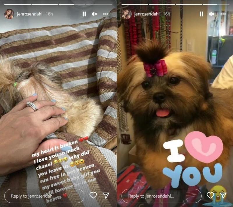 Source jenrosendahl IG