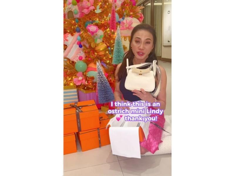 Hayden Kho gives Vicki Belo 4 Hermes bags worth millions of pesos