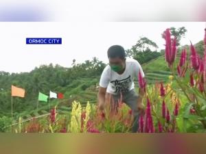 GMA Kapuso Foundation helps Ormoc City