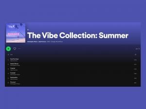 The Vibe Collection Summer