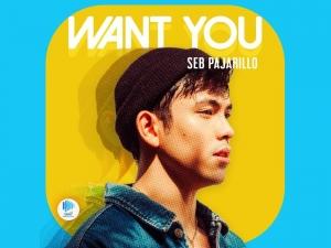 Want You cover art; Seb's profile with vfx